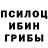 Псилоцибиновые грибы MAGIC MUSHROOMS Neks1i