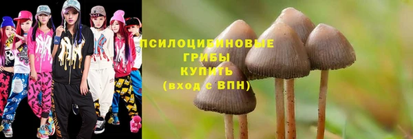 амфетамин Богородск