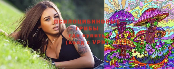 гидра Бутурлиновка