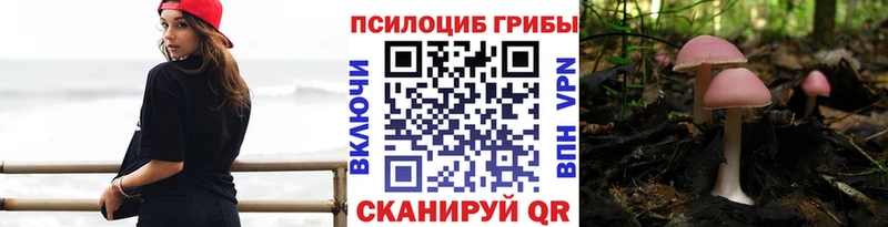 мега вход Певек Галлюциногенные грибы мухоморы